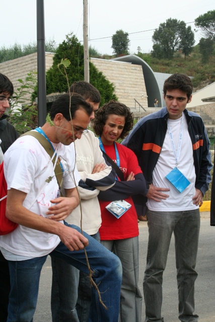 Imagem número 4 da galeria Orienta-te