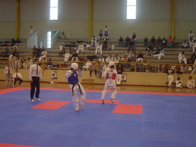 Imagem número 3 da galeria CNU Taekwondo