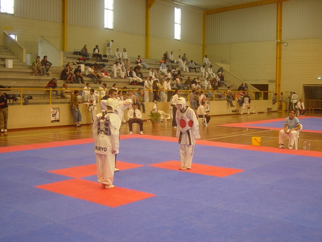 Imagem número 4 da galeria CNU Taekwondo