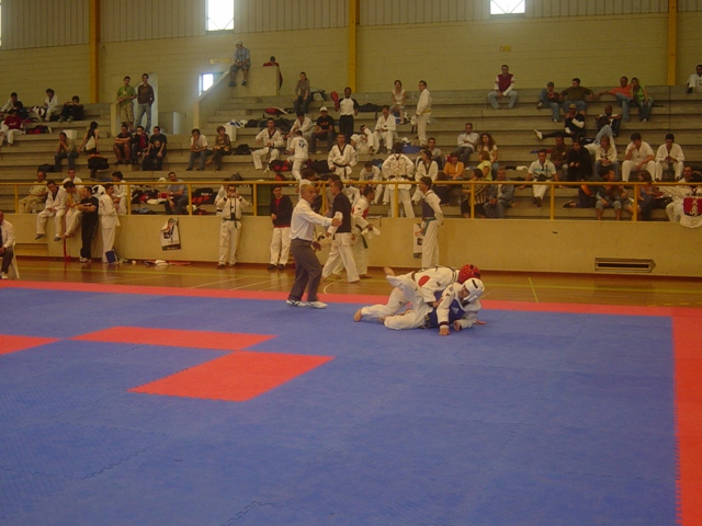 Imagem número 5 da galeria CNU Taekwondo