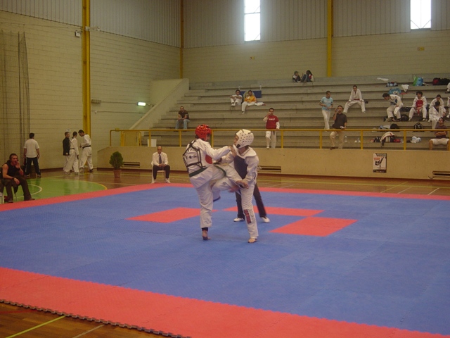Imagem número 7 da galeria CNU Taekwondo