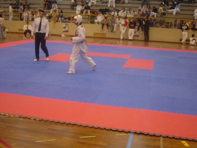 Imagem número 8 da galeria CNU Taekwondo