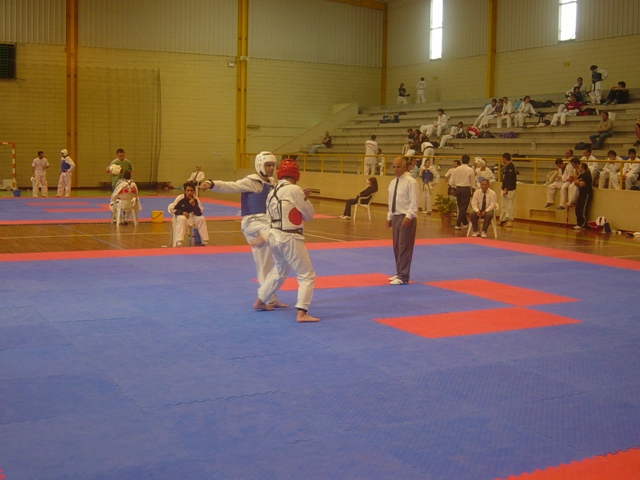 Imagem número 9 da galeria CNU Taekwondo