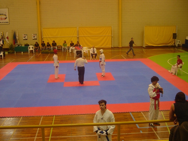 Imagem número 3 da galeria CNU Taekwondo
