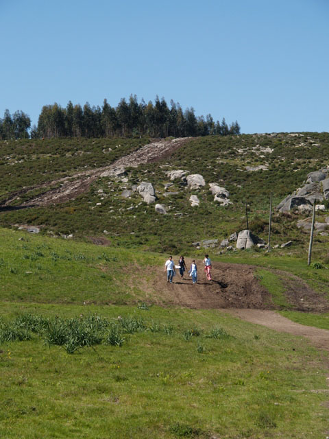 Imagem número 8 da galeria Desporto Escolar 