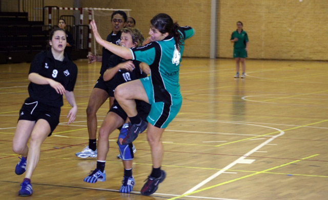 Imagem número 7 da galeria II TA Andebol F