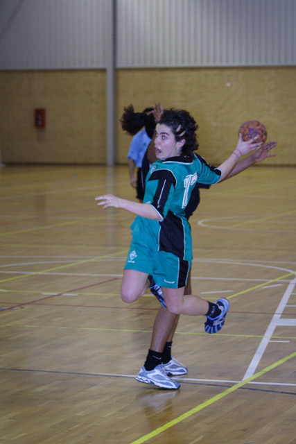 Imagem número 6 da galeria II TA Andebol F