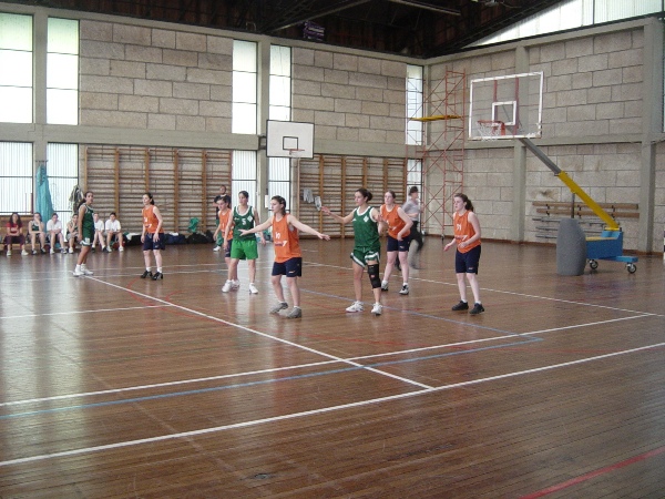 Imagem número 4 da galeria CNU Basquetebol F