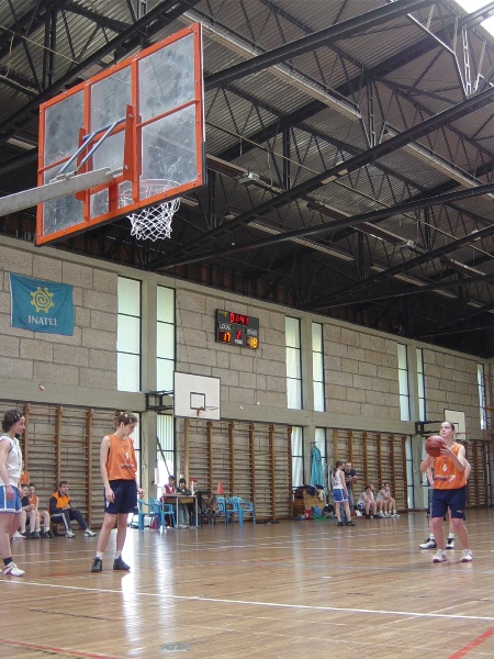 Imagem número 1 da galeria CNU Basquetebol F