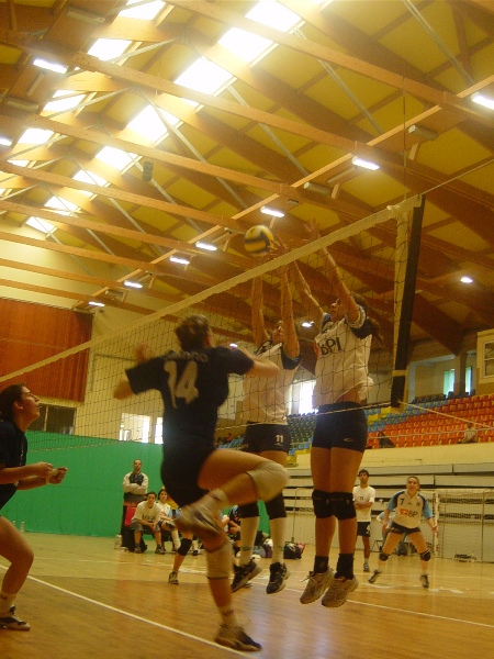 Imagem número 3 da galeria CNU Voleibol