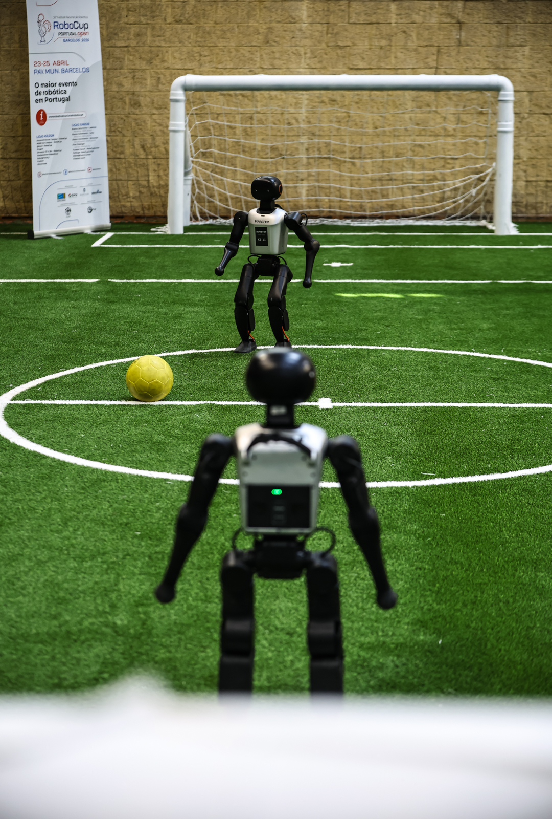 Imagem número 4 da galeria RoboParty