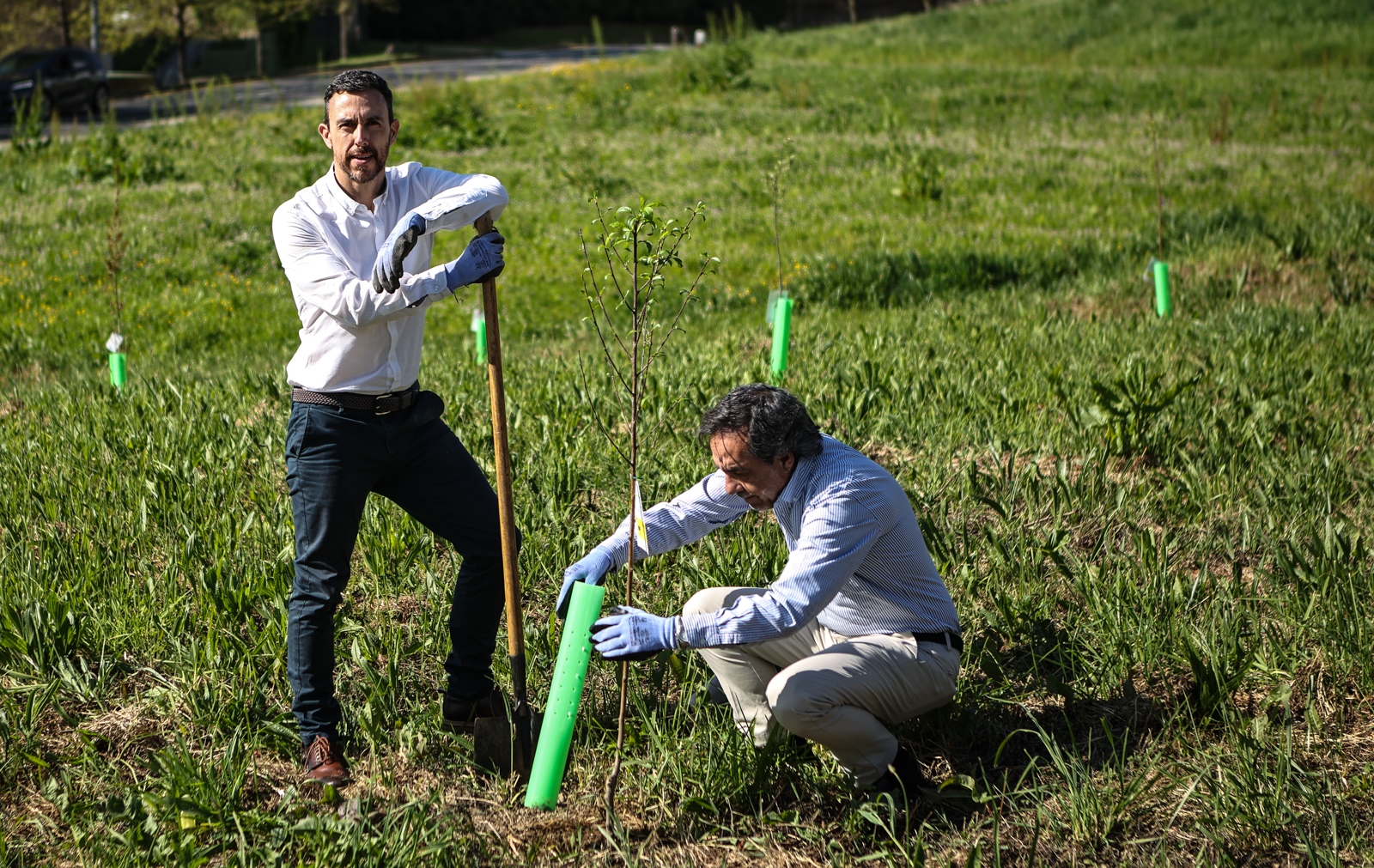 Imagem número 9 da galeria CMBraga oferece árvores à UMinho