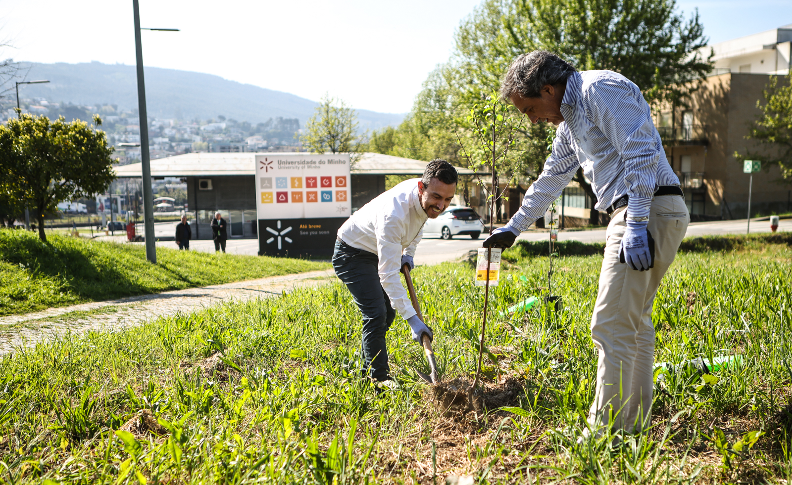 Imagem número 7 da galeria CMBraga oferece árvores à UMinho