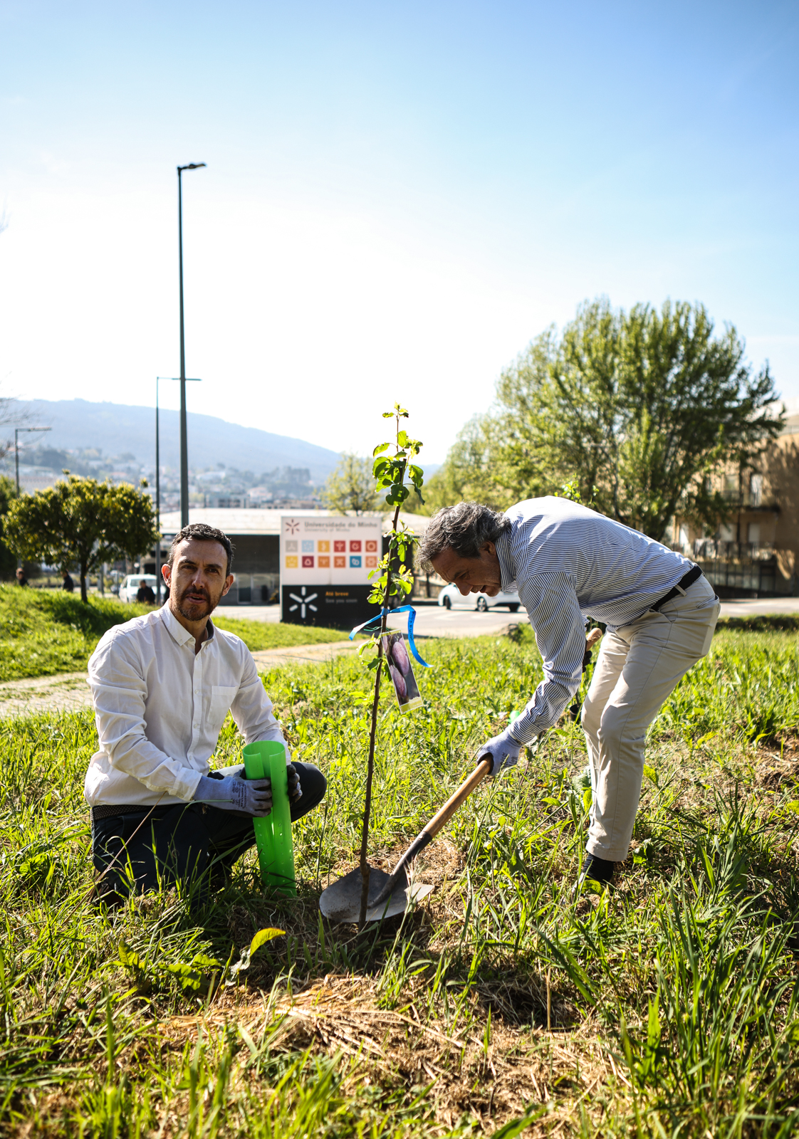 Imagem número 10 da galeria CMBraga oferece árvores à UMinho