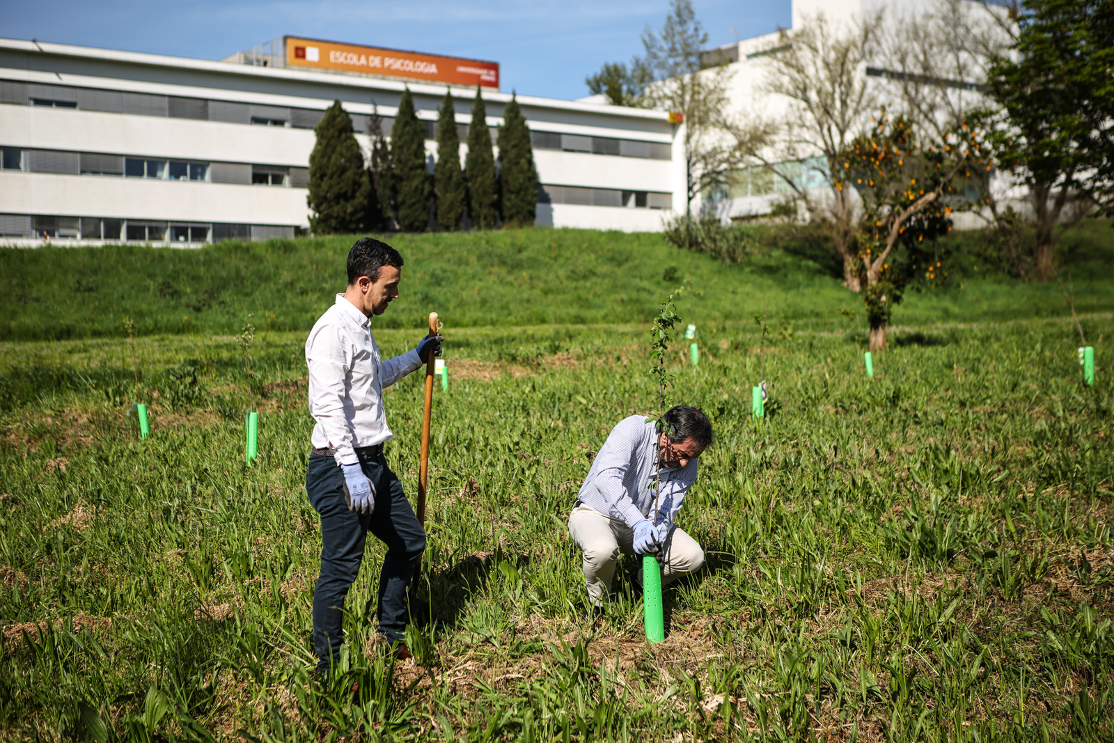 Imagem número 1 da galeria CMBraga oferece árvores à UMinho