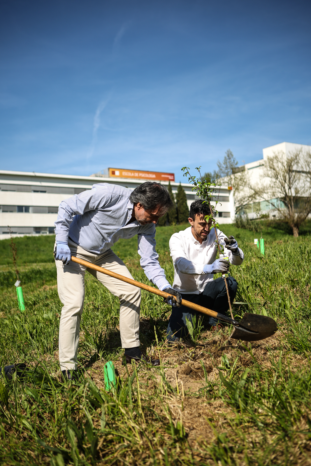 Imagem número 4 da galeria CMBraga oferece árvores à UMinho