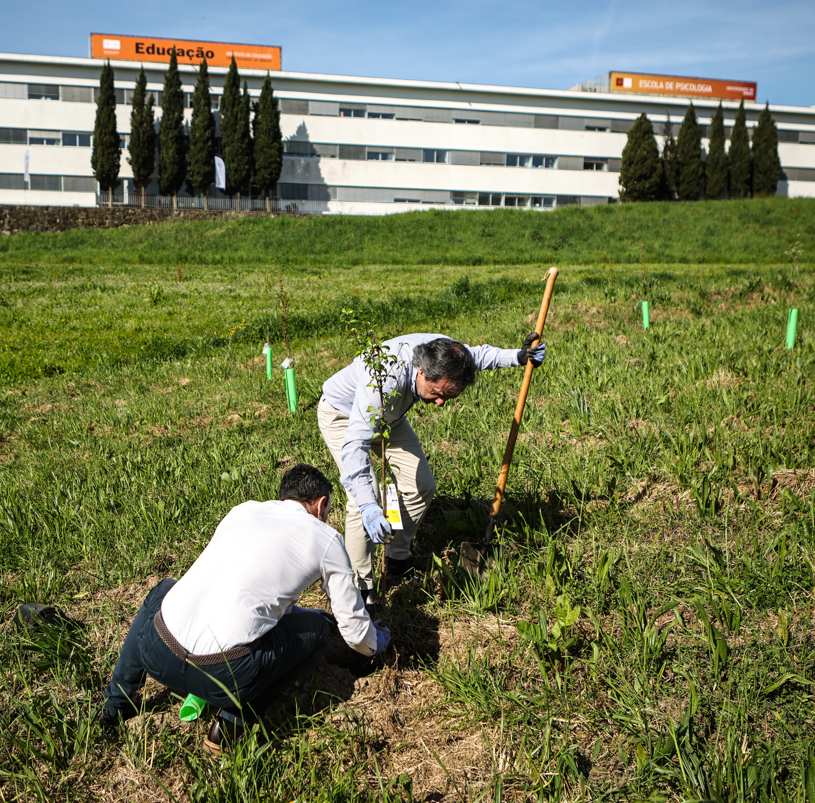 Imagem número 3 da galeria CMBraga oferece árvores à UMinho