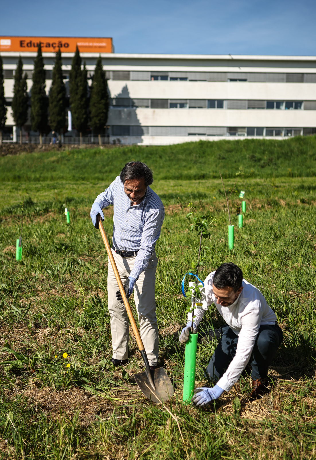 Imagem número 2 da galeria CMBraga oferece árvores à UMinho