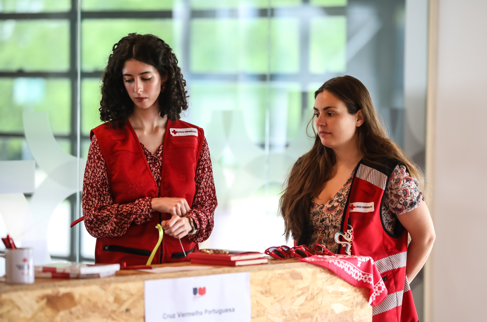 Imagem número 10 da galeria Feira do Voluntariado